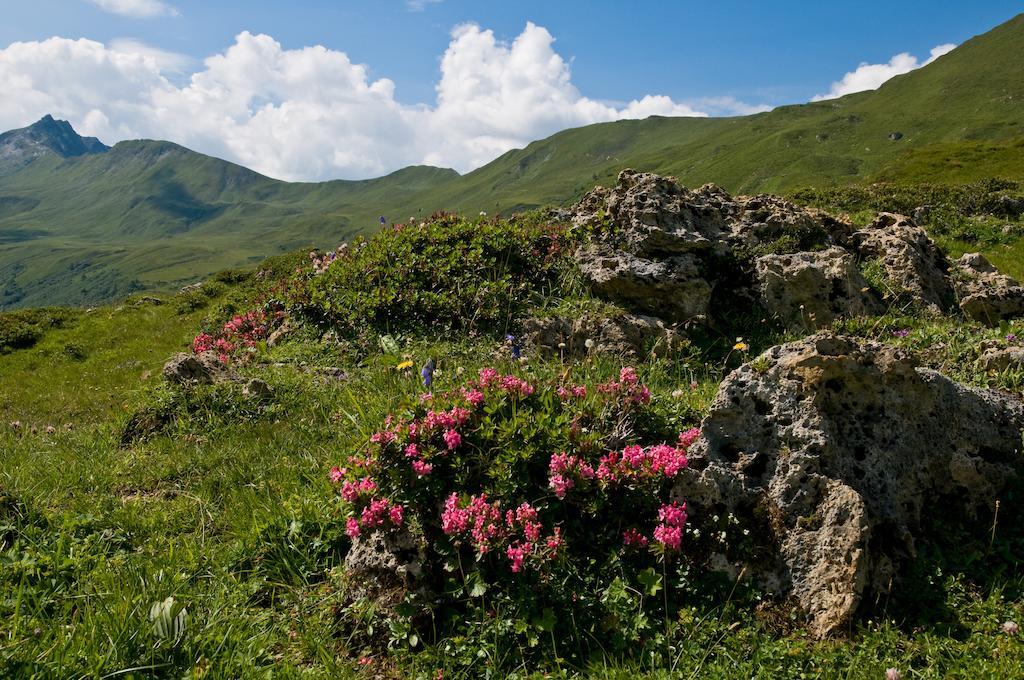 Pension Zum Wilden Hannes Wagrain Exteriér fotografie